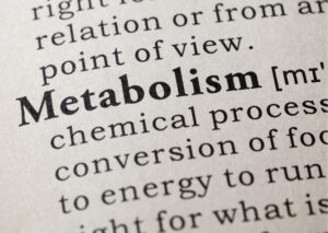 metabolism